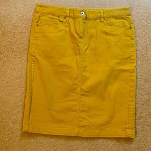 Woman’s Gold Denim Skirt